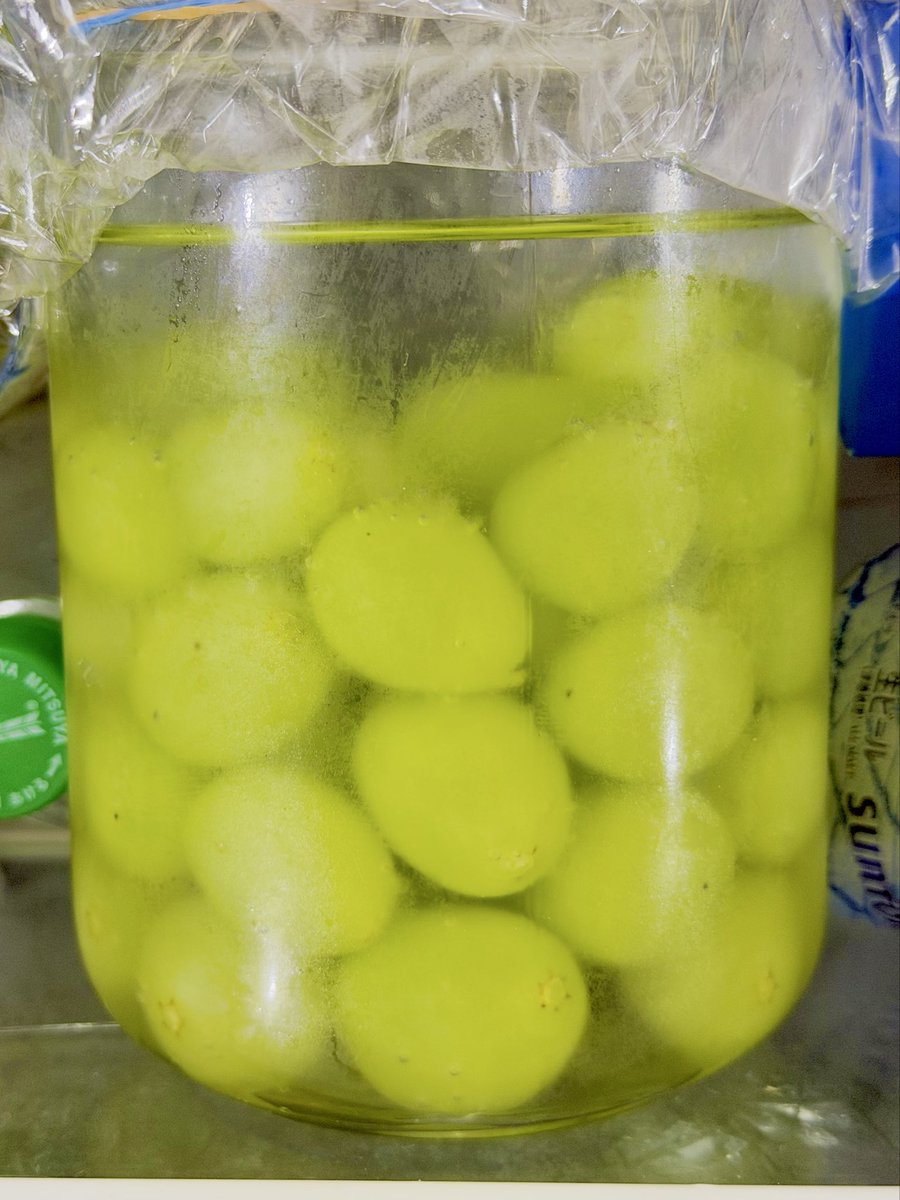 Maesara1208's tweet photo. マスカットをサイダーに漬けて食べるやつ気になってたので仕込んでる https://t.co/J9RdO1So4k
