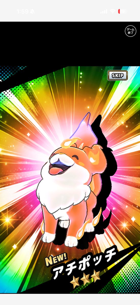 hayu0207's tweet photo. このなんか笑ってる犬の育て方教えてください、なんかでたんで https://t.co/KrgWJDl3xK