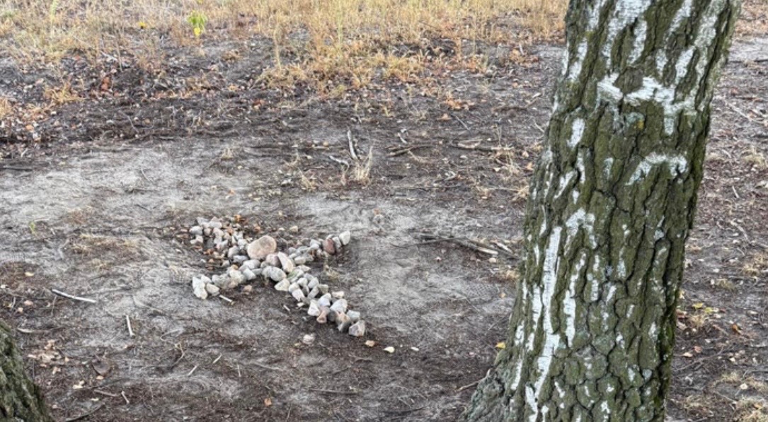 DorotaKania2's tweet photo. „Nieznani sprawcy” notorycznie niszczą kapliczki postawione w miejscu, gdzie znaleziono ciało śp. Jolanty Brzeskiej Ktoś się bardzo boi tej pamięci . Na szczęcie są tacy, którzy nie pozwolą zapomnieć o tej zbrodni https://t.co/37DIGyKlH6