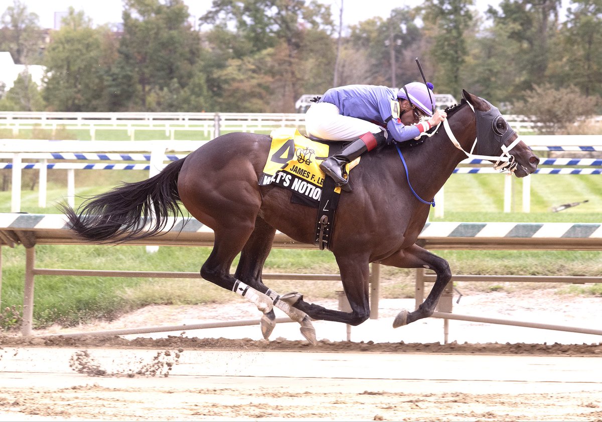 LaurelPark's tweet photo. 🏆 The James F. Lewis III Stakes

🏇 What’s Notion
J: Mychel Sanchez
T: Gary Capuano https://t.co/5SrR1QGykx