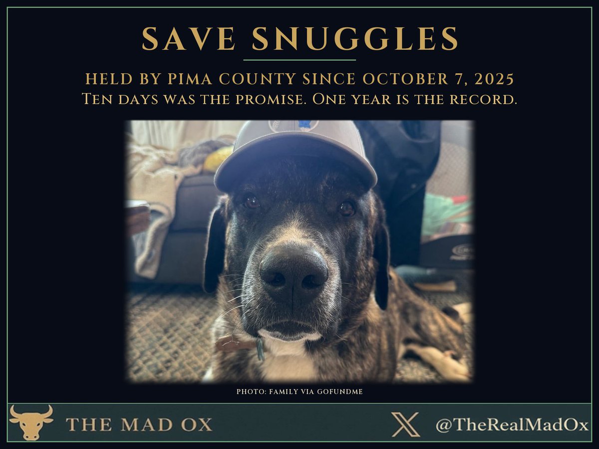 TheRealMadOx's tweet photo. Wednesday marks one year since Sergeant Snuggles went into a kennel on what his family says was a 10 day quarantine.

Pima County has held him ever since. His family's Sept 28 federal filing says the county's own form set his release date: October 17, 2025.

Picture your dog behind a kennel door for twelve months. The county's chart, as quoted in that filing, has him on trazodone and gabapentin "for shelter stress."

It says staff were told not to talk to his owner, who learned of a January medical emergency eight months later.

The family paid an $11,000 appeal bond, per the county's memo. The woman who was bitten opposes his destruction, the family's lawyer told KVOA.

If the records say what that filing says, Pima County is warehousing a family dog and keeping his family in the dark.

Sign the petition. Call Pima County.

Ten days was the promise. One year is the record. Pima County owns every day in between.

#SaveSnuggles

H/t: KVOA, nerdbirdmafia, federal court filings