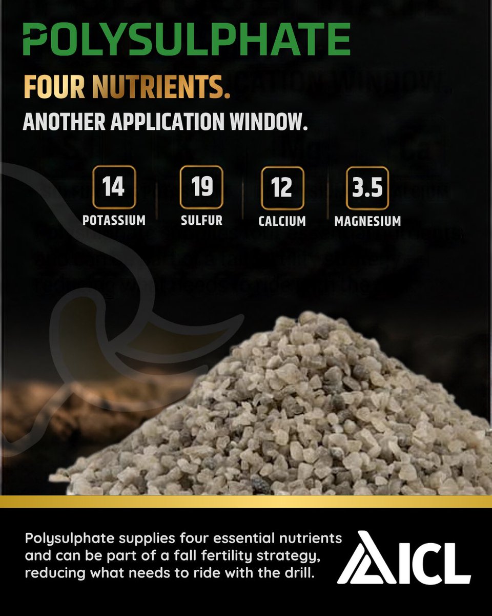 TaurusAgTeam's tweet photo. Fall fertility, simplified.

Polysulphate® delivers S, K, Ca + Mg from one naturally occurring mineral, with sulphur in plant-available sulphate form and a gradual 50 to 90 day release curve.

🇨🇦trials:

Potatoes: +41 cwt/ac
Canola: up to +25%
Learn more: https://t.co/uzCzpMtGIV https://t.co/q8FpPBoY7E