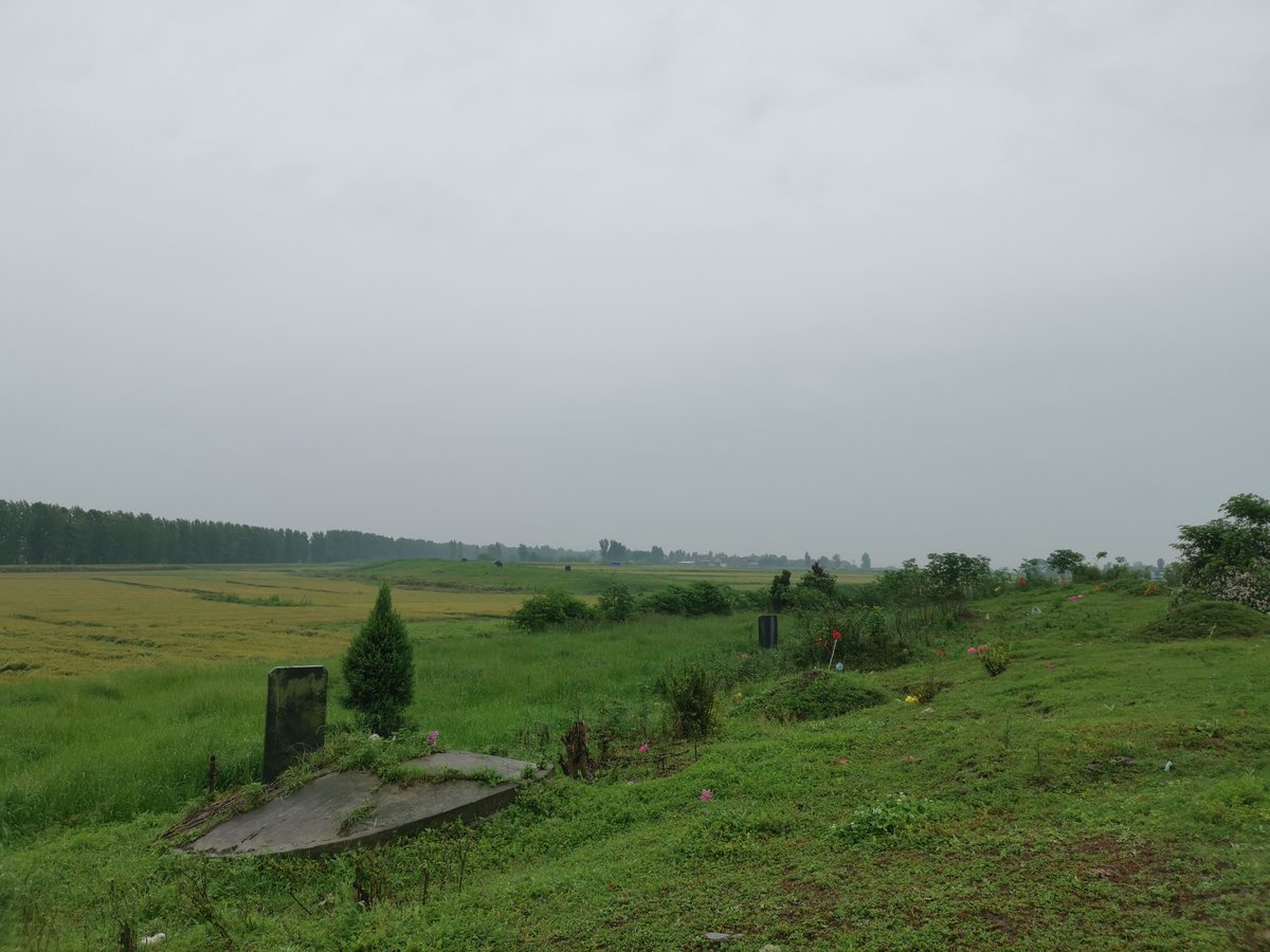 args3qiaonyp0uh's tweet photo. Found a small grave mound, spilled cold water respectfully, a sincere uncle paid respects quietly. https://t.co/kXpkEA1zrl