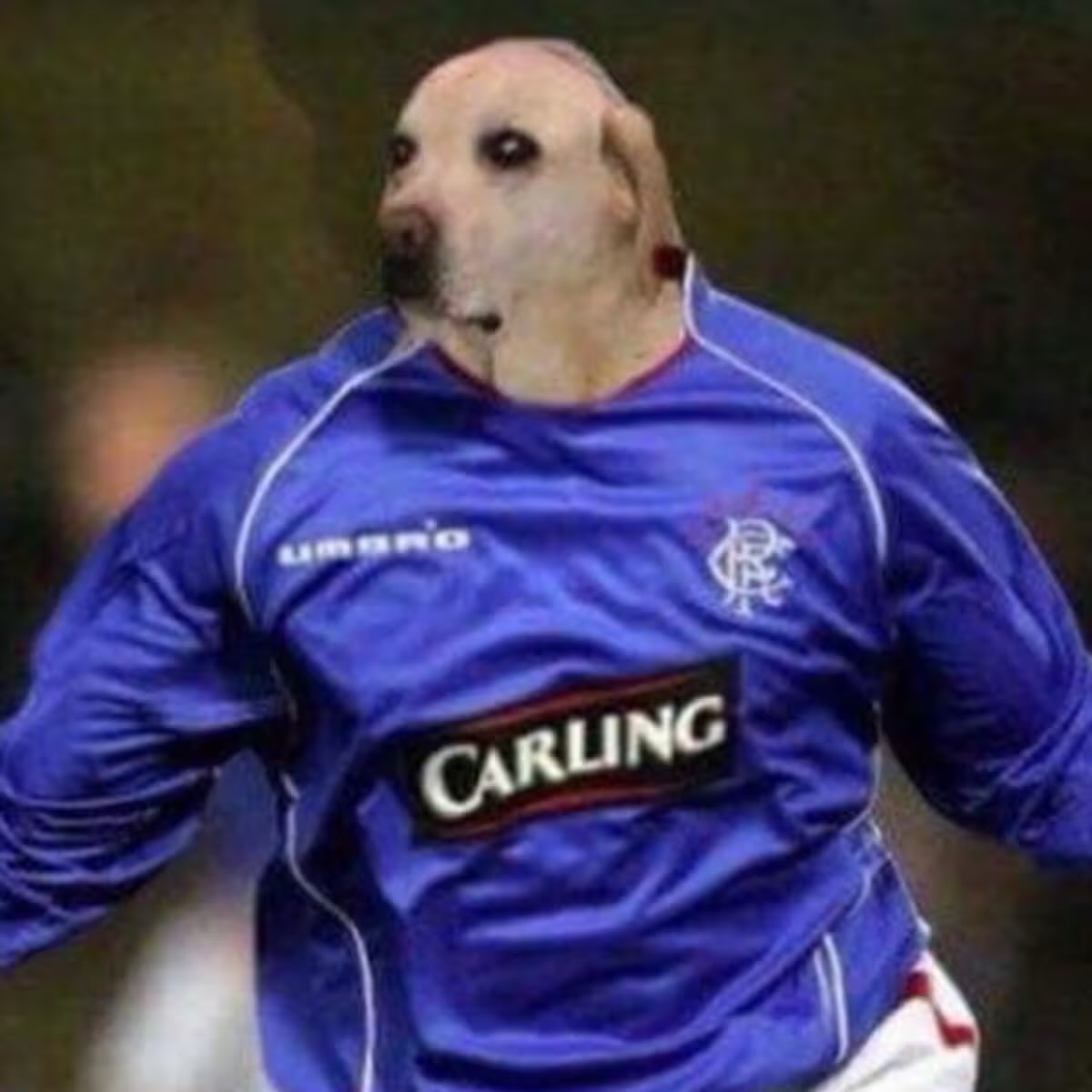robbo_1875hfc's tweet photo. @ScotlandNT hopefully he can score some goals like his old man https://t.co/UJZDaDdZVB