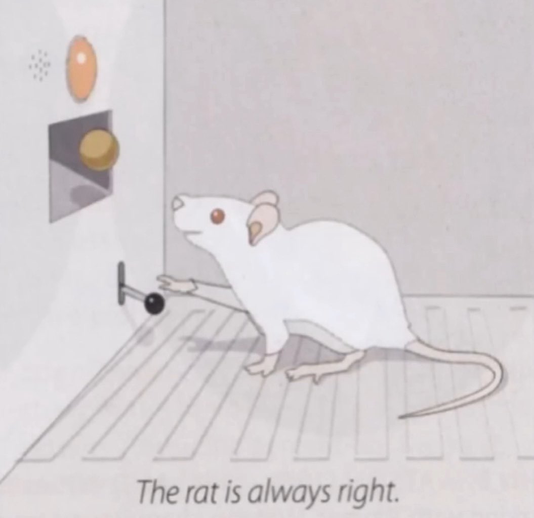 CustosSculptus's tweet photo. @R0YALRODENT 🪨Hey, I gotta support the rat representation on this platform as one myself! https://t.co/DCajBpARmC