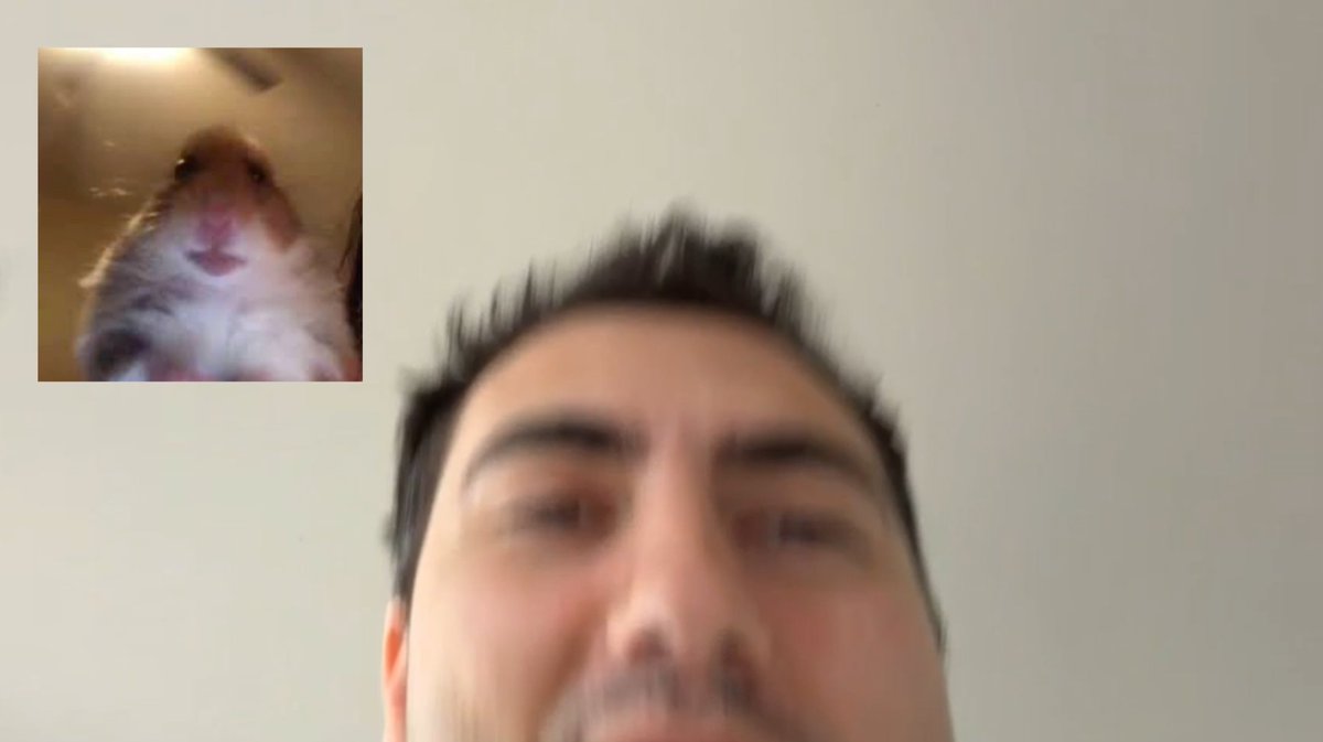 Zammm_K's tweet photo. Me sentí en una videollamada https://t.co/ZZ6aMWNMPR