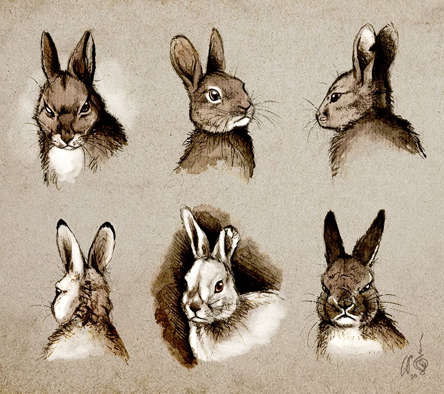 Thaisuppe's tweet photo. "'Victimhood of the rabbit?' Hah! Ask the adder whose tail I've bitten off. Pity the Weasel who is continuing its pathetic dance in the ocean waves, drowned dead. Behold the wolf who suffocated on a piece of my ear. A Dune Rabbit doesn't care. For she knows how to survive."~ https://t.co/hlkoo4L5NE