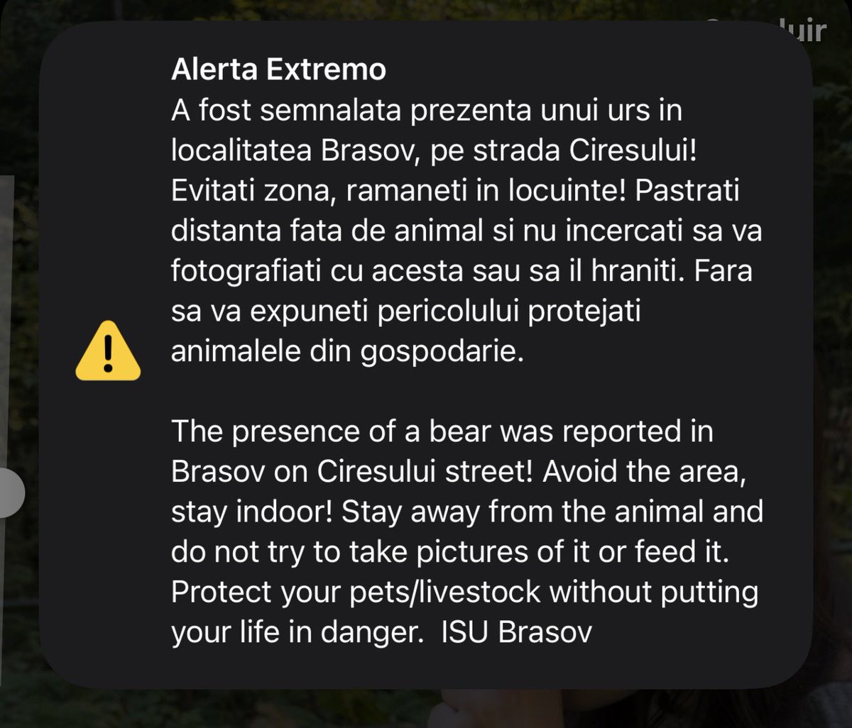 tipsterdanilo's tweet photo. Recebi um alerta de URSO nas ruas de Brasov.

Doido demais como volta e meia morre alguém atacado por um aqui na Romênia! https://t.co/I7J6qua2NR