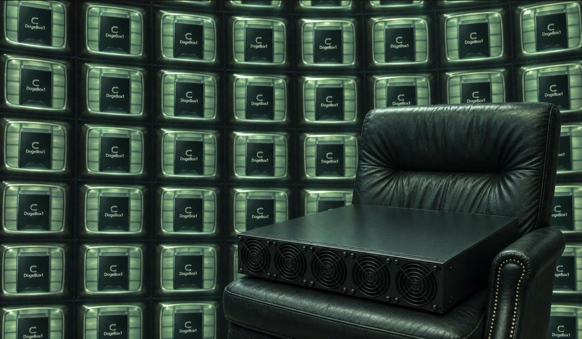 open_forge's tweet photo. Need I remind you that DogeServer is the BOSS?

20 compute cards packed into one 2U rack system, built to mine $DOGE &amp; $LTC while powering Cysic ComputeFi and earn $CYS

DogeBox1 started the pack. DogeServer runs it.

Get it today: https://t.co/afhZ0bsDYO https://t.co/kHTQmitMQ9