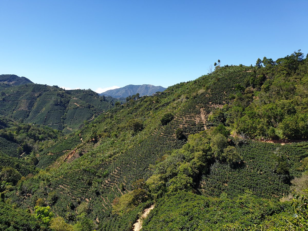 FlyboyTita's tweet photo. Featuring Erie Coffee Roasters, Frederick, Colorado. Their line: “Each coffee is carefully roasted, on site, to express the best qualities of the bean.” Their Costa Rica - Las Lajas is on Hornet. Find it, or use Flight Concierge.
https://t.co/Hirtb8Wuyx
https://t.co/oeKIZkOrb7
Photo: Pigment-Ink, CC BY-SA 4.0, via Wikimedia Commons.