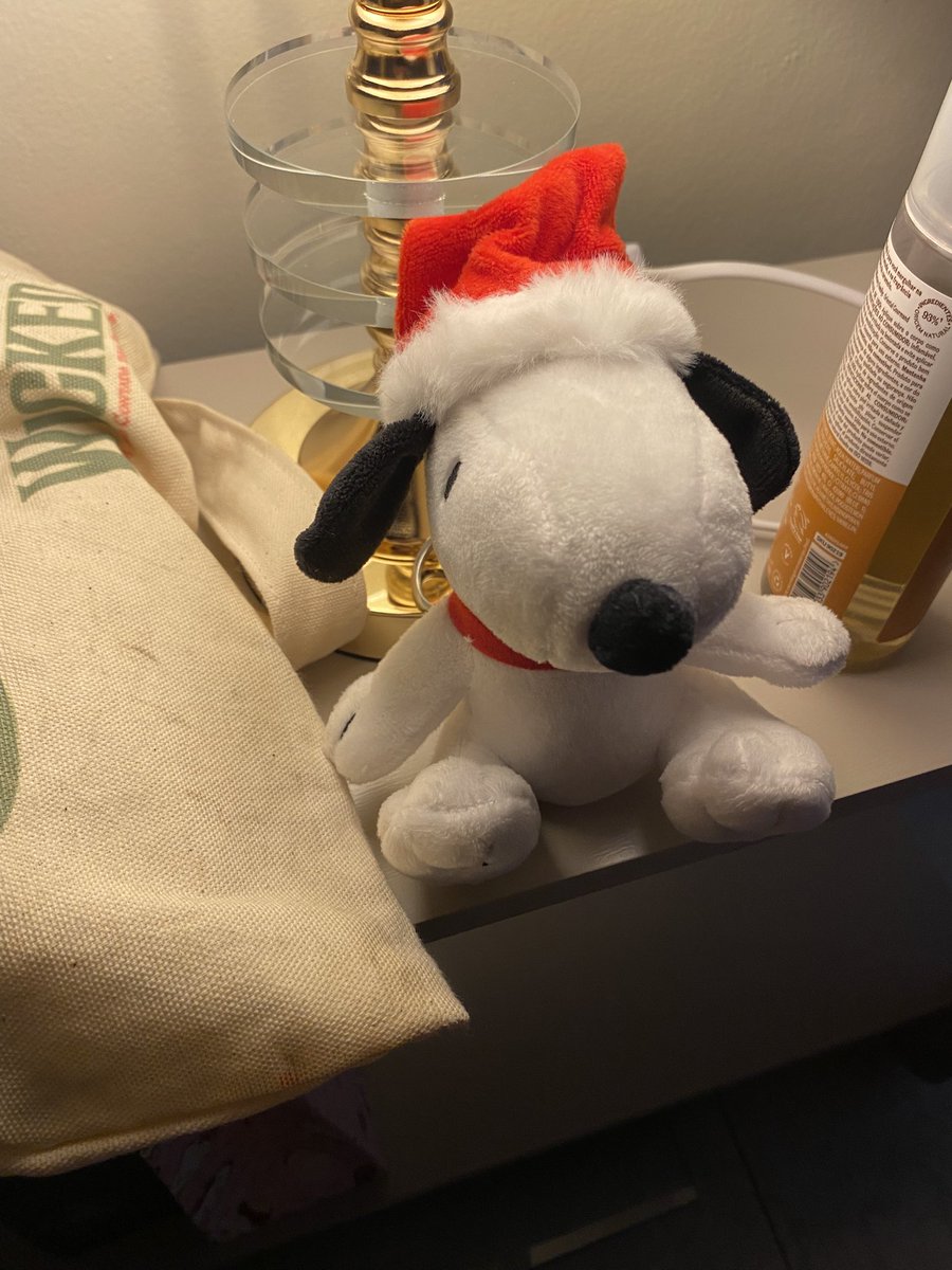 coelhemo's tweet photo. @bjorkdeivoti OBG vai estar gostoso pq o espírito do snoopy natalino jamais me desapontaria https://t.co/oXfAtVM21E