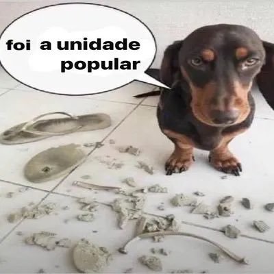 suB_ociV's tweet photo. @littlerocha 😭😭😭😭 não vota na esquerda pufavo 😭😭😭😭 olha a extrema direita 👻👻👻👻 se votar na esquerda vão eleger o Flávio 👉👉🇧🇷🇧🇷 https://t.co/hZctYf4S3n