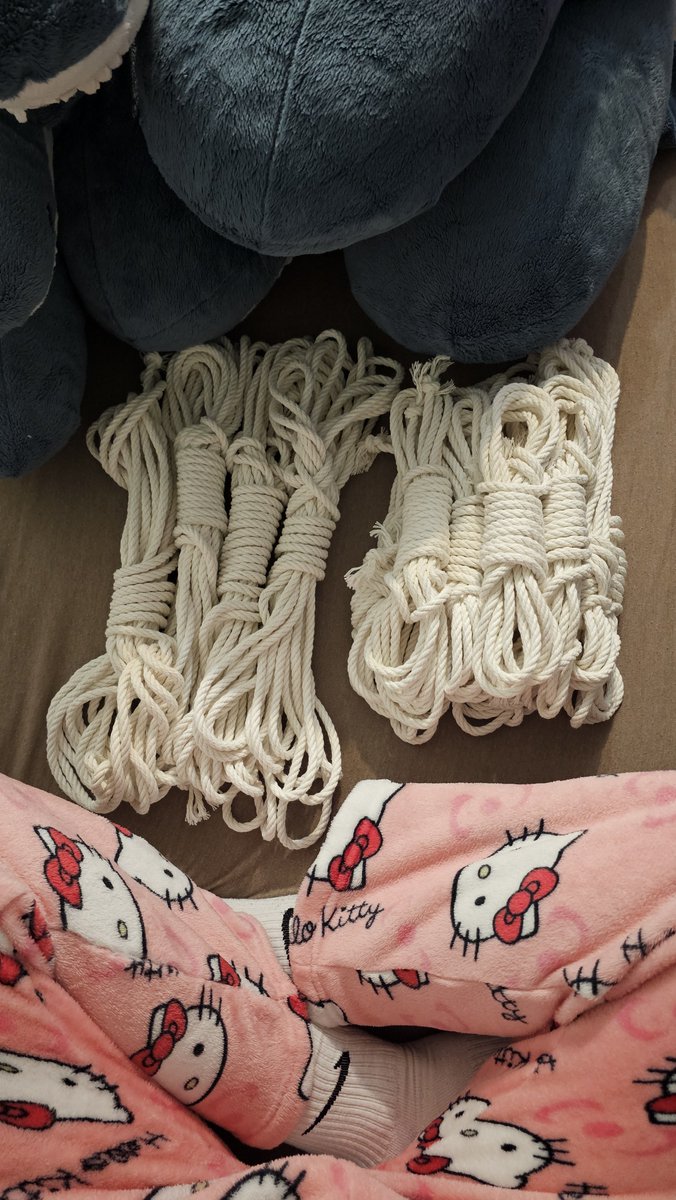 Hunstolfo's tweet photo. New haul >:3 (shonk aproved) https://t.co/NfstyzaUi4