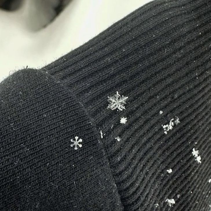 naturehealyou's tweet photo. ❄️ https://t.co/15rnTTyQ5J