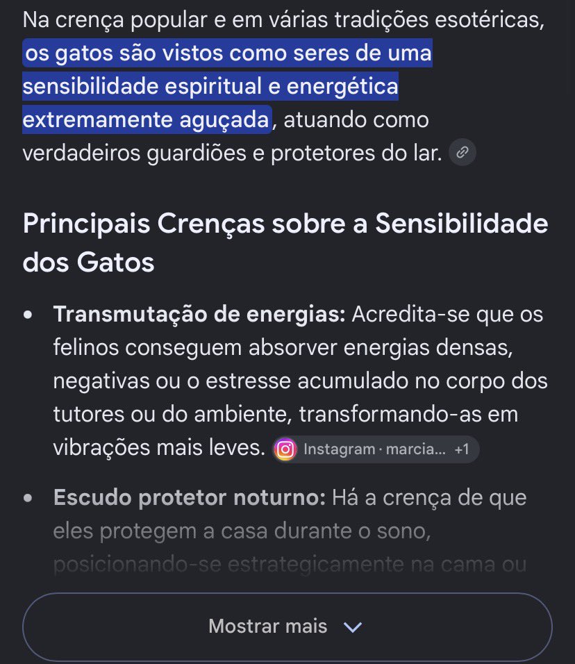 leri_079's tweet photo. hoje uma querida senhora me falou que tenho a sensibilidade de um gato 🥹 https://t.co/8ubm4gLeKK
