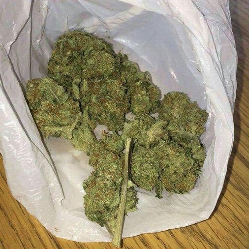 weed_Express13 tweet picture