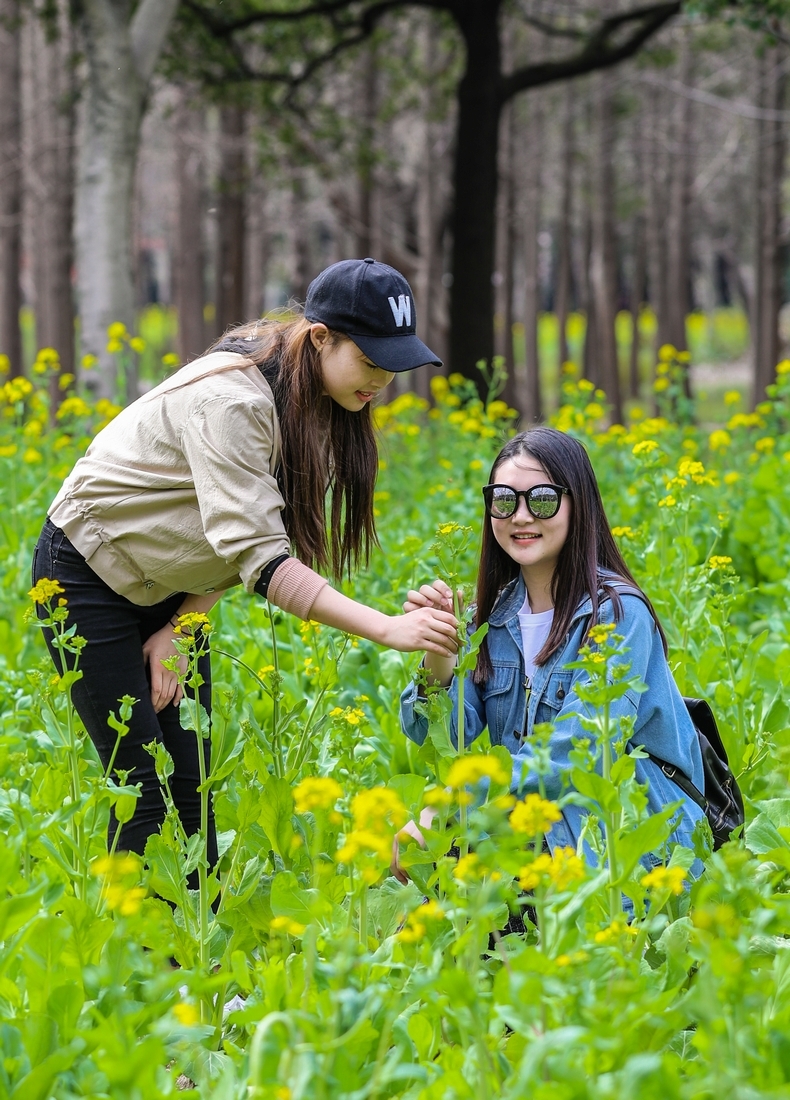 tirto_hariyono's tweet photo. [Yan Shangmei and her friends enjoyed a sunny hike in the countryside, laughing along the way!] https://t.co/gyGToosGBK