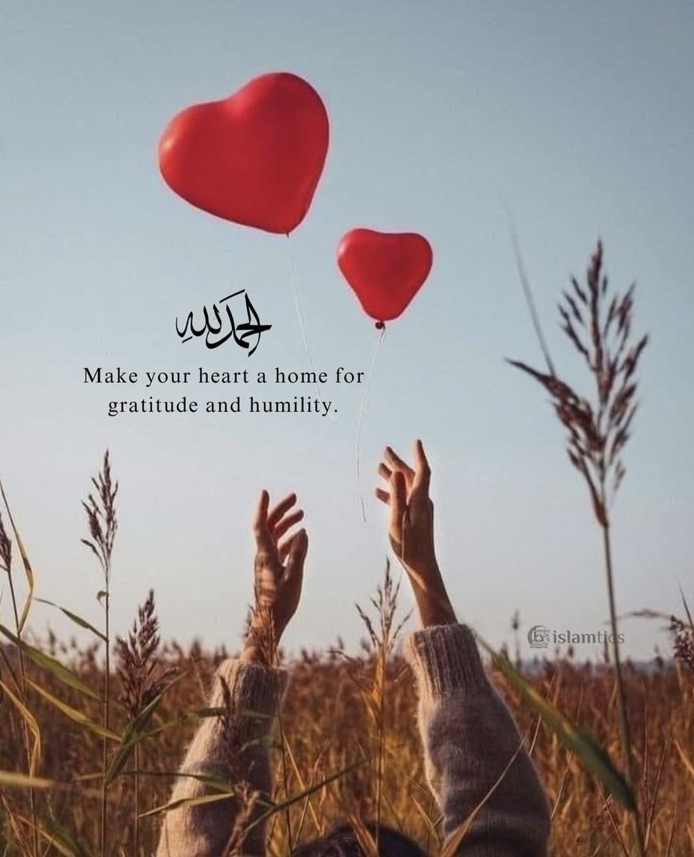 RoShZiMu's tweet photo. Alhamdulillah https://t.co/1i7RUgJ6xV
