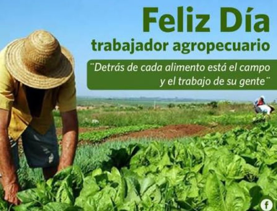 AneYanet's tweet photo. Hoy, 3 de octubre, celebramos el Día del Trabajador Agropecuario en Cuba. Una fecha que honra a campesinos, ganaderos y técnicos.
#DiaDelTrabajadorAgropecuario https://t.co/4BwnxW2kz6