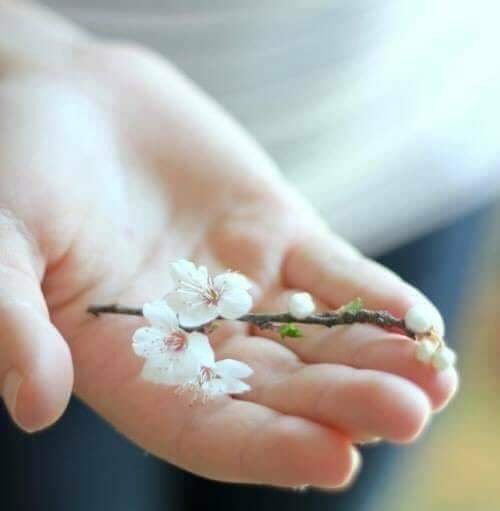 AlrbeenTo's tweet photo. الذين يُشبهون السلام لا يأتون كثيرًا في الحياة ...
لكن أثرهم يبقى طويلًا داخل القلب. https://t.co/O3KVuJnmy1
