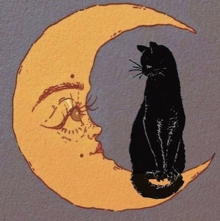 Gentleman_1965's tweet photo. Goodnight https://t.co/DQGDf0X6pN
