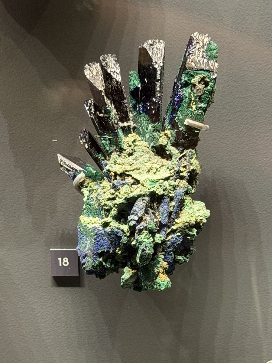xenolenn's tweet photo. This is lowkey how I imagine Adrian https://t.co/Ksacoycuvw