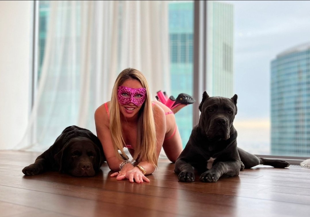 silesto_k9's tweet photo. Dogs leave Paw prints on our hearts🤍🌬
Come join the Best, Link on my bio!

#Dogs #USA #AUSmmits2026 https://t.co/gzF7ZvQk46