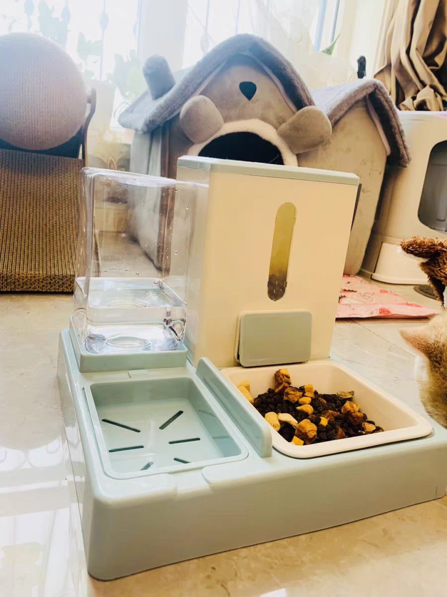 TrueWarriojqlg's tweet photo. Just got the cutest pet stuff! Fed my fluffy cat with a nice feeder, and the little velvet hair accessory I paired with it is so cute too #PetVibes https://t.co/MP0dd8LI2T
