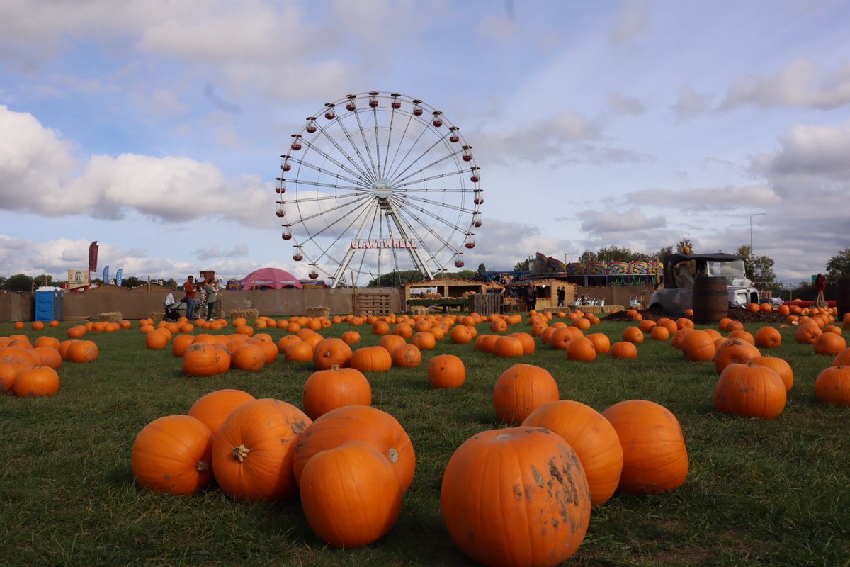 Sarahcoxh's tweet photo. Pumpkins in Suffolk! https://t.co/HdPpTCMhDx