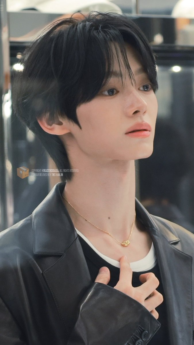 A young man with dark hair wearing a leather jacket and gold necklace poses indoors; a watermark credits 'THIS HANNUN' and 'MACGYVERDARA'.