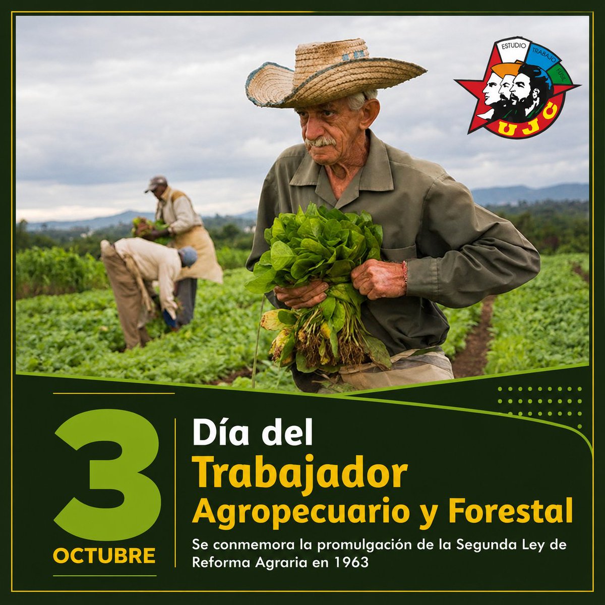 UJCdeCuba's tweet photo. 🇨🇺| Hoy, 3 de octubre, celebramos el Día del Trabajador Agropecuario y Forestal. 🌾🚜 Un merecido homenaje a todos los hombres y mujeres que con sus manos labran la tierra, siembran esperanza y garantizan el sustento de nuestro pueblo.

#CubaEstáFirme #UJCdeCuba https://t.co/uWKZ3EMHHR