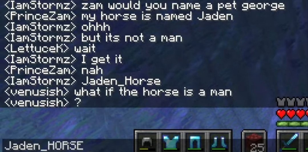 leslie_plays_'s tweet photo. // SoulSMP spoilers 

Just Zam and her teammate Jaden_HORSE https://t.co/oFUjErz17N