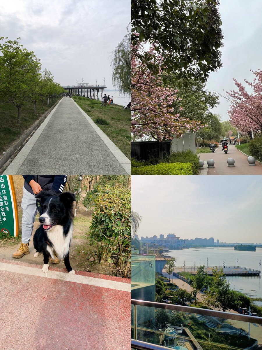 CharlieBectw's tweet photo. Hoy caminé 5 km por el parque, disfrutando del sol y el aire fresco, un paseo perfecto para despejar la mente!， https://t.co/xsV3u7nme9