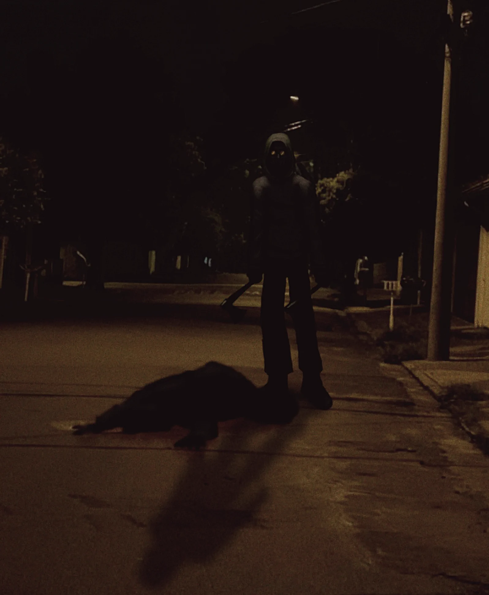 Sad Wolf on X: 