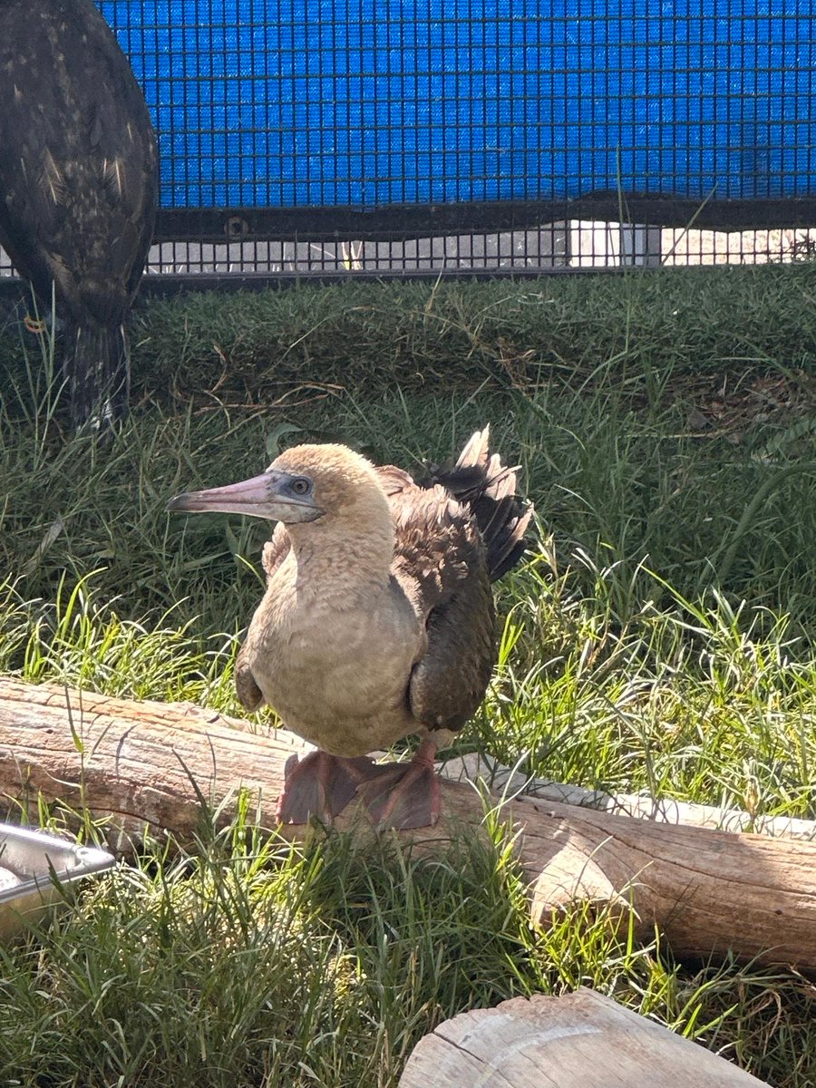 SeaWorld tweet picture