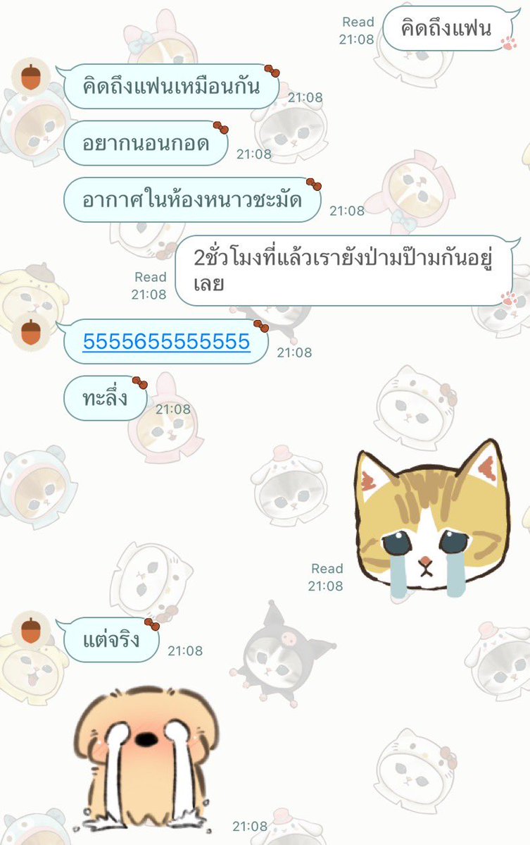 Cher_a_meow's tweet photo. เริ่ดเลยล่ะ https://t.co/g3GgUzFjkR