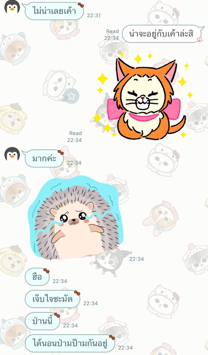 Cher_a_meow's tweet photo. เริ่ดเลยล่ะ https://t.co/g3GgUzFjkR