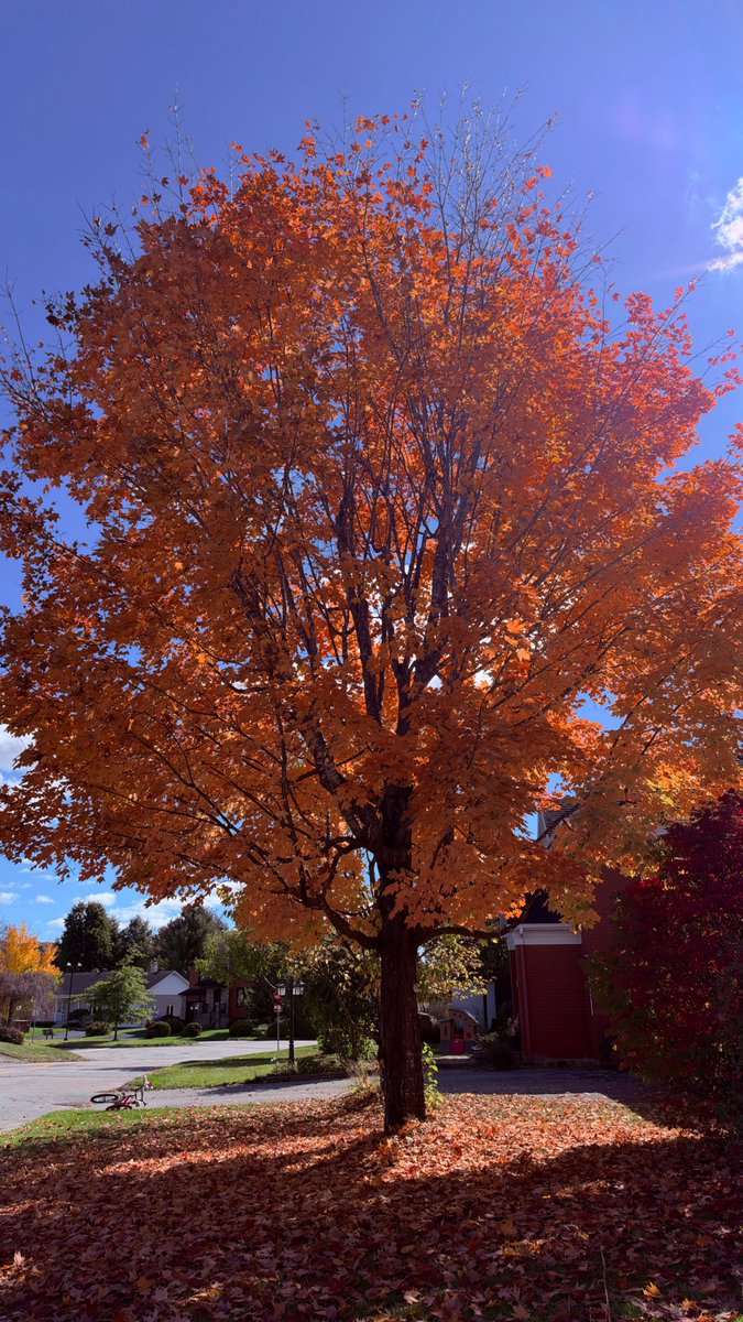 sergebl's tweet photo. Fall, Birthday soon, new iPhone season... https://t.co/arRXDbagdt
