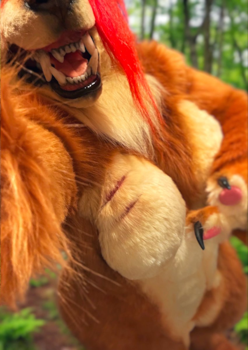 Buffpup_'s tweet photo. Ever seen a werewolf out during the day? 🐺☀️ https://t.co/71J9MJGvwa