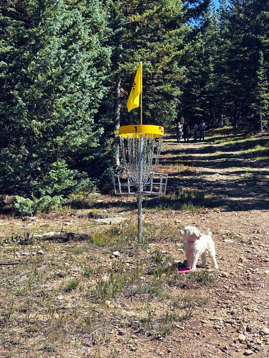 Mina971rh's tweet photo. 秋诗篇篇。
玩玩frisbee golf，顺便看看秋色。
我要挽救十月，也要挽救遗憾。
遗憾已经太过廉价、扔得到处都是了。
我要把丢出去的垃圾捡回来。
就像对待这山 https://t.co/oEPFXSzbKP
