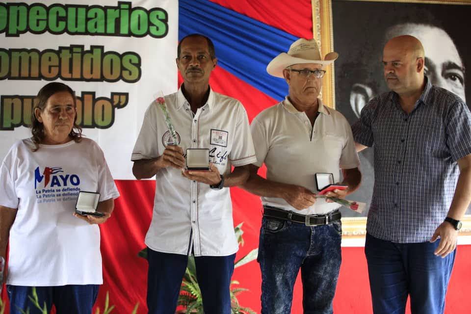 YamileRamosCord's tweet photo. En ese reconocimiento está el esfuerzo y consagración de más de 16 mil trabajadores agropecuarios, forestales y tabacaleros. #UnidosXCuba #PinardelRío https://t.co/lI74gMi2Ls