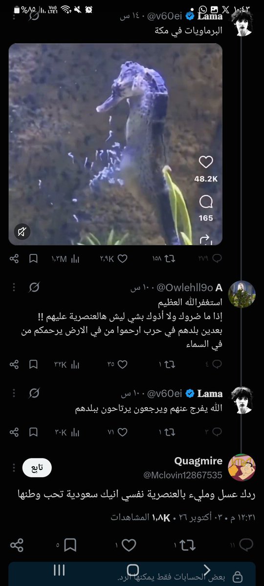 r3vYVGRQ4Xg1aWB's tweet photo. حساب داخل السعوديه يقذف اعراض النساء السعوديات 
عنايتكم 
@MOISaudiArabia  
@pss_ar 
@ppgovsa 
@MOI__911 
@kamnapp
@NCA_KSA 
وطن بلا فساد 🇸🇦 https://t.co/SA2BsQgsDt