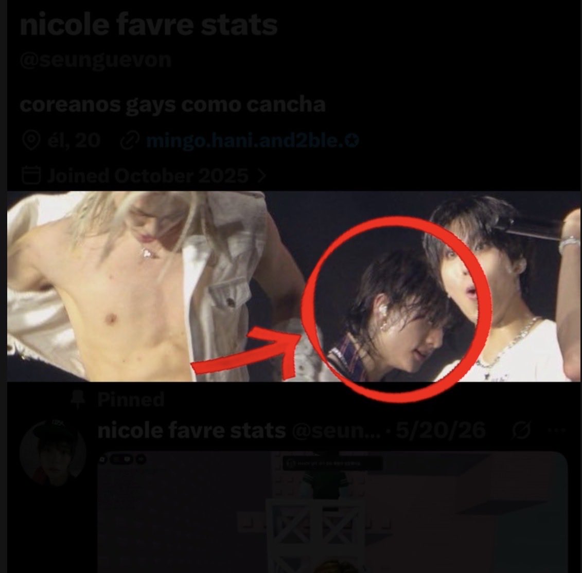 agorahillsg's tweet photo. Imagínate acusar a todo un grupo de golpeadores de mujeres (SIN PRUEBAS) mientras tienes de banner al fucking hyunjin, que su hobby antes de hacer música de mierda, era ser un abusador de mierda con las mujeres https://t.co/fqGy8M5nWC