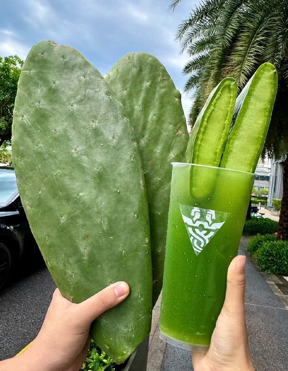 JudyFoxqrl2's tweet photo. [Today I had a cup of matcha latte with a touch of 敖茨绿撕，it's so refreshing!]， https://t.co/cOilHDsWyL