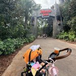 Photo by Eric@theparks (@themeparkcreat2)