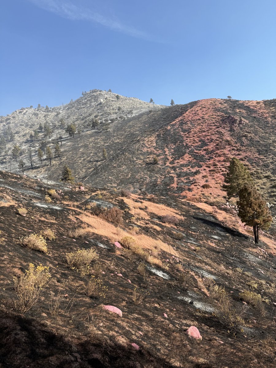 TMFPD's tweet photo. View of the #BullFire landscape following the first 24 hours. Acreage remains at approximately 1,274 acres and containment remains at 40%. The cause has been determined to be human-caused and remains under investigation.
Resource advisors are already on scene working with fire personnel and discussing suppression repair needs. Their work will help identify areas where firefighting operations may have impacted the landscape and where repair efforts are needed.
We encourage everyone to use extra caution and do their part to prevent another wildfire. Please be fire safe.