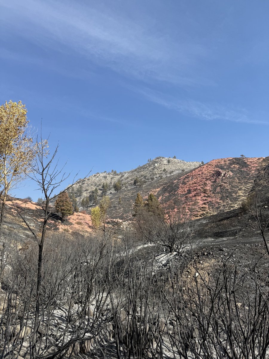 TMFPD's tweet photo. View of the #BullFire landscape following the first 24 hours. Acreage remains at approximately 1,274 acres and containment remains at 40%. The cause has been determined to be human-caused and remains under investigation.
Resource advisors are already on scene working with fire personnel and discussing suppression repair needs. Their work will help identify areas where firefighting operations may have impacted the landscape and where repair efforts are needed.
We encourage everyone to use extra caution and do their part to prevent another wildfire. Please be fire safe.