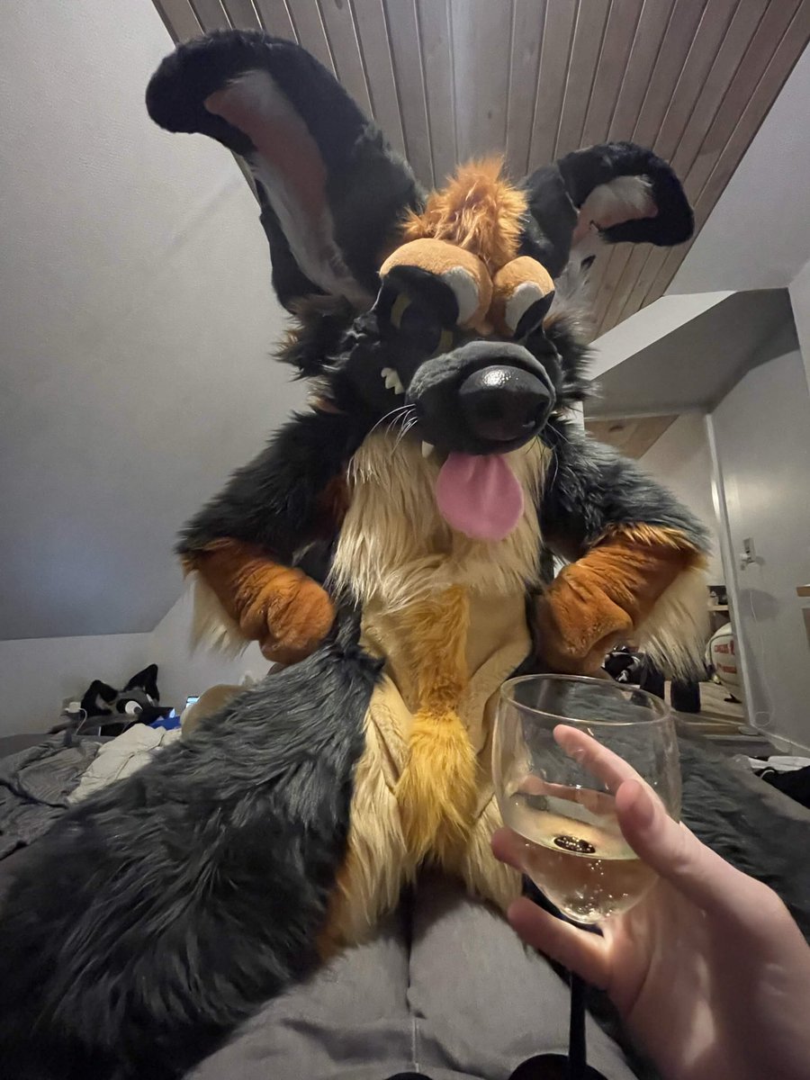 Flip_gshep's tweet photo. Lørdag aften

#furry #fursuit #fursona https://t.co/wbX5aVp0Hm