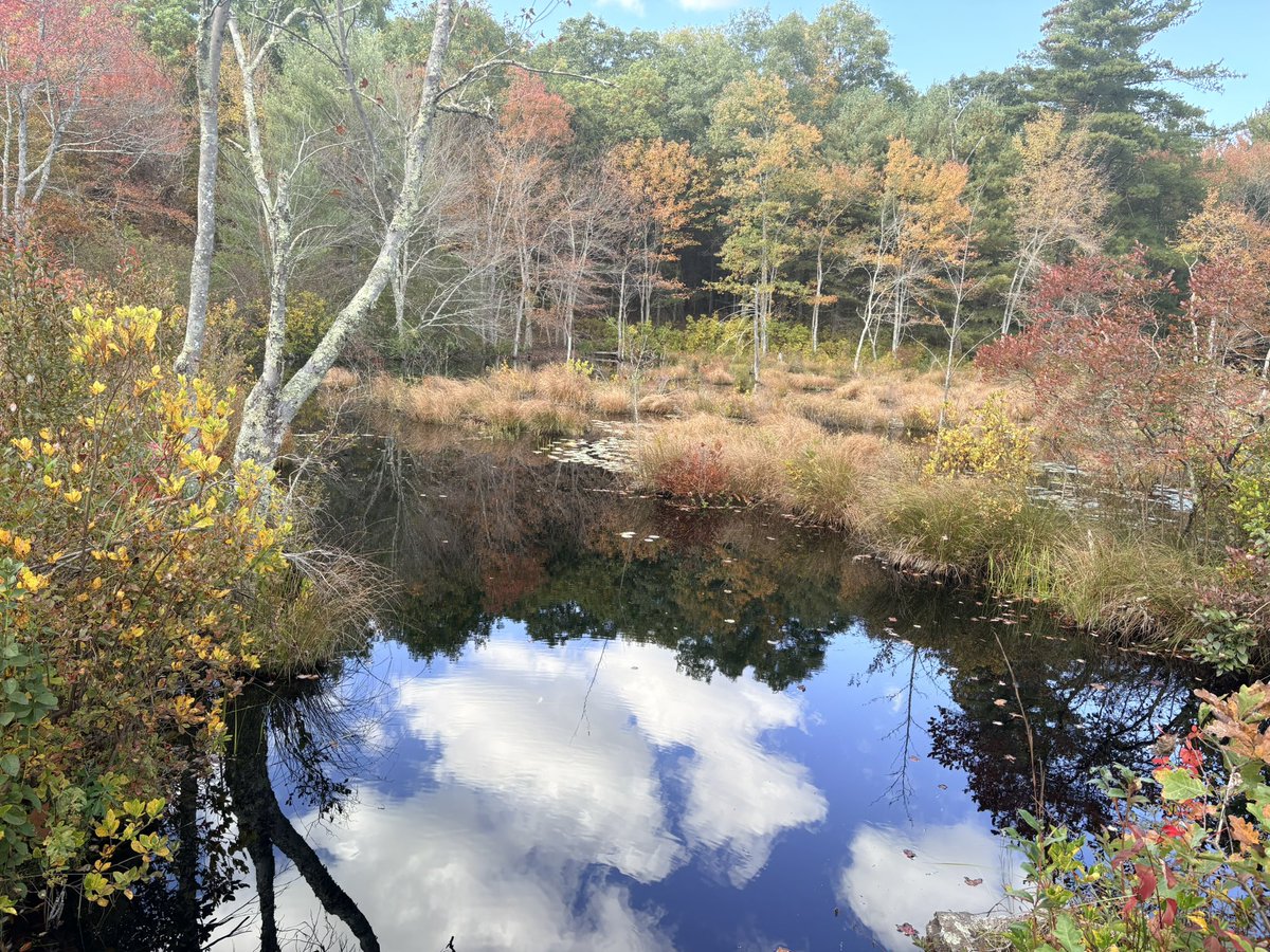 LSBofEBB's tweet photo. Heading home from a day of hiking followed by a detour to a nearby farm for a fresh, warm, soft apple cider donut.
#iphonepic #hiking #nature #massachusetts #fall https://t.co/KvqejngT7G