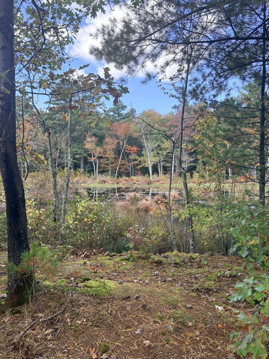 LSBofEBB's tweet photo. Heading home from a day of hiking followed by a detour to a nearby farm for a fresh, warm, soft apple cider donut.
#iphonepic #hiking #nature #massachusetts #fall https://t.co/KvqejngT7G